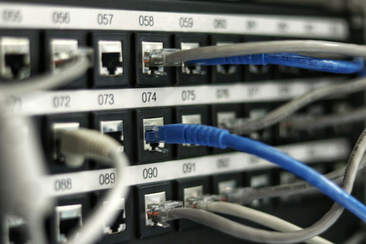 Network patch panels with labelled cable connections (illustrative stock photo)